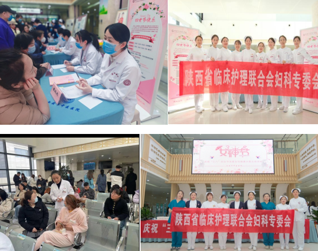 1710397847665 1710397847665