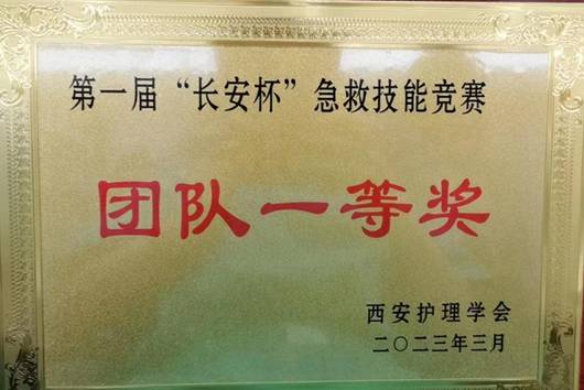 6e4ab7e9085c7332c579a6b51cf0d93