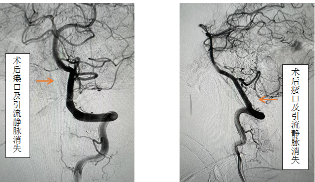 1678955798841 1678955798841